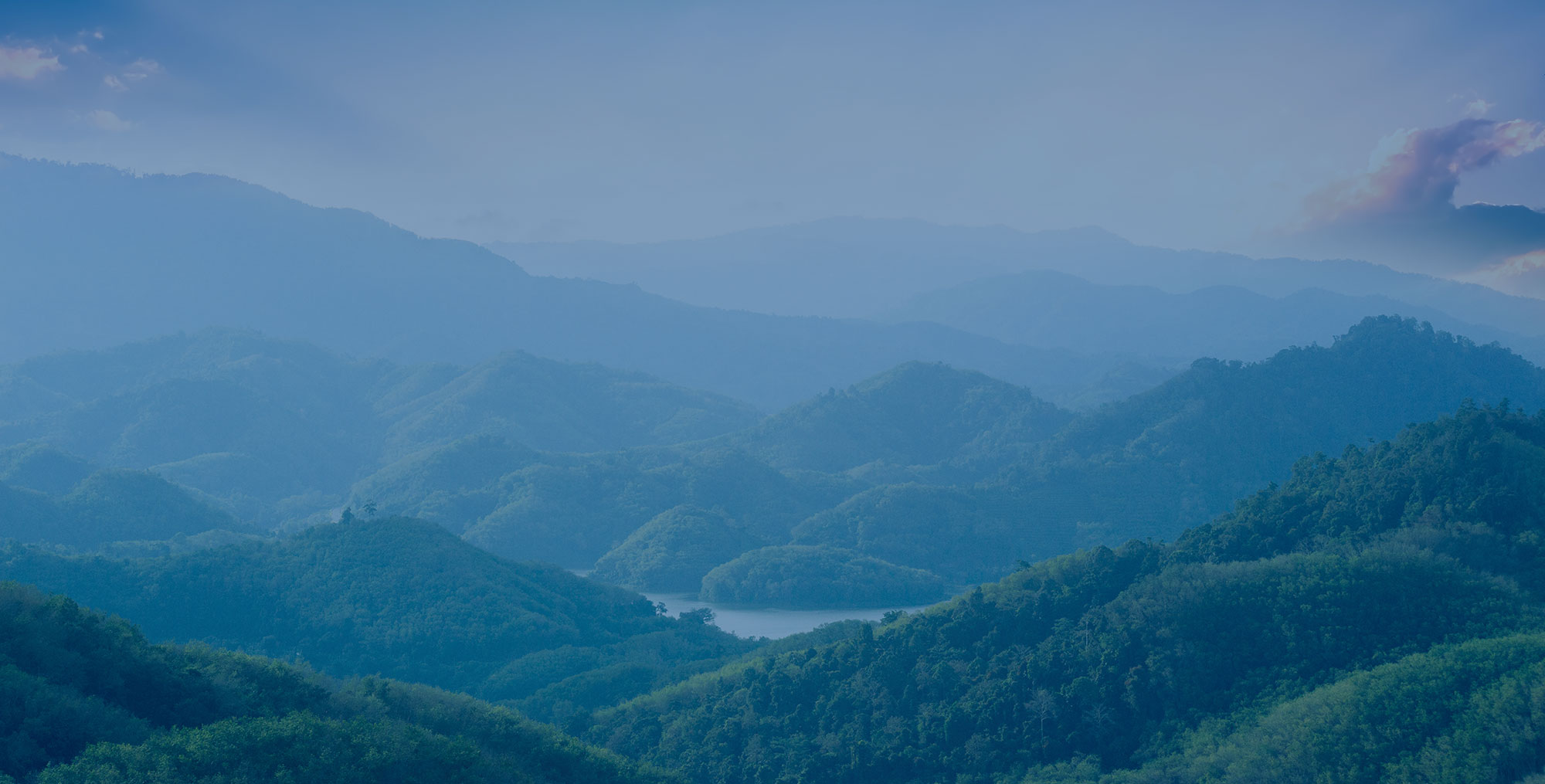 Full-width Image